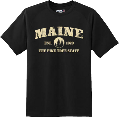 Maine State Vintage Retro Hometown America Gift T Shirt New Graphic Tee