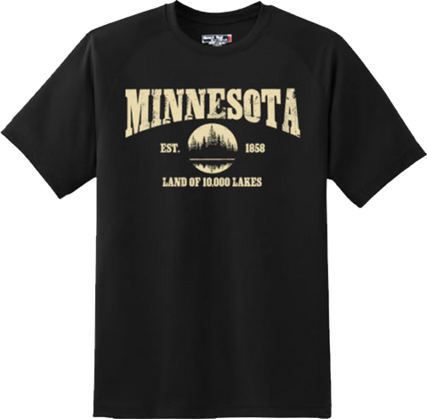 Minnesota State Vintage Retro Hometown America Gift T Shirt New Graphic Tee