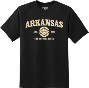 Arkansas State Vintage Retro Hometown America Gift T Shirt New Graphic Tee
