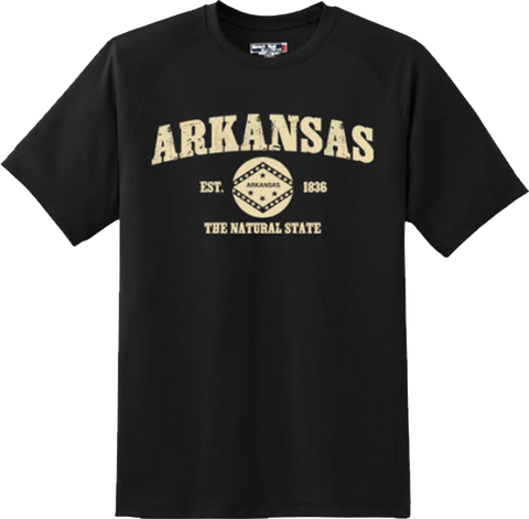 Arkansas State Vintage Retro Hometown America Gift T Shirt New Graphic Tee