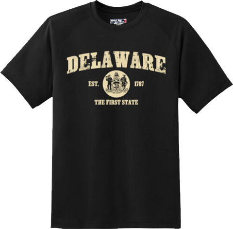 Delaware State Vintage Retro Hometown America Gift T Shirt New Graphic Tee