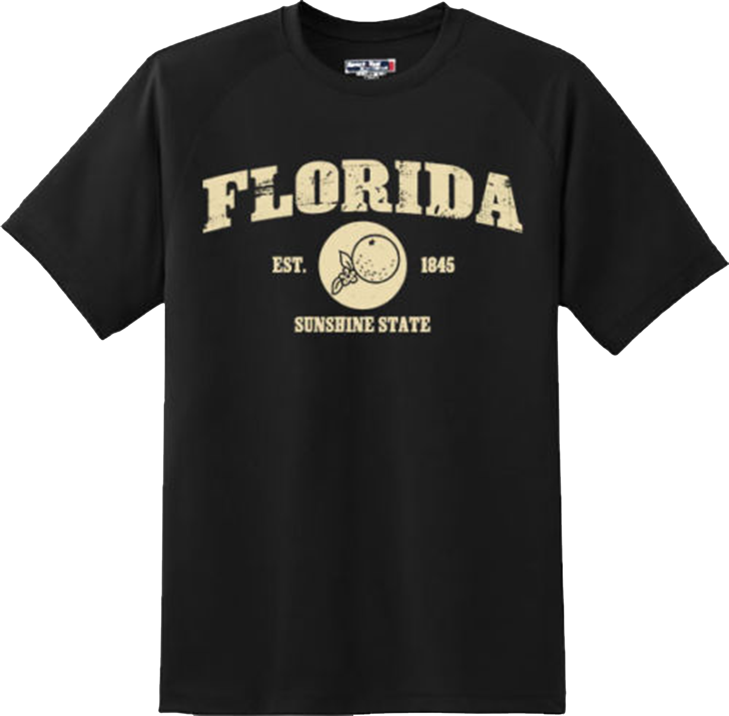 Florida State Vintage Retro Hometown America Gift T Shirt New Graphic Tee