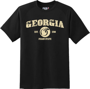 Georgia State Vintage Retro Hometown America Gift T Shirt New Graphic Tee