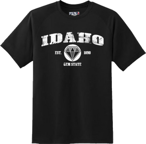 Idaho State Vintage Retro Hometown America Gift T Shirt New Graphic Tee