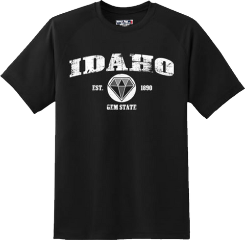 Idaho State Vintage Retro Hometown America Gift T Shirt New Graphic Tee