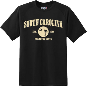 South Carolina State Vintage Retro Hometown America Gift T Shirt New Graphic Tee