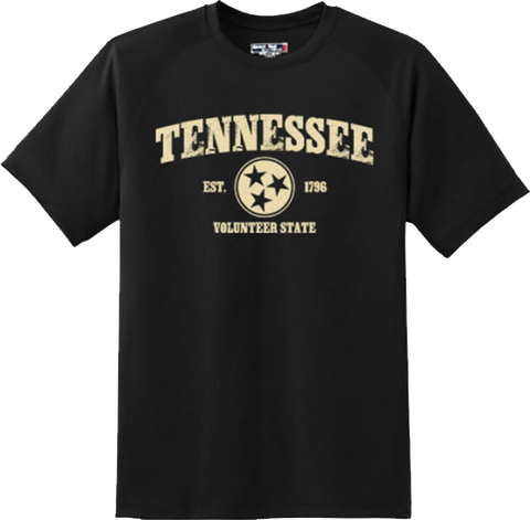 Tennessee State Vintage Retro Hometown America Gift T Shirt New Graphic Tee