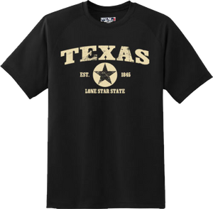 Texas State Vintage Retro Hometown America Gift T Shirt New Graphic Tee