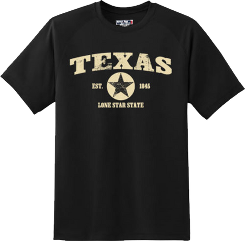 Texas State Vintage Retro Hometown America Gift T Shirt New Graphic Tee