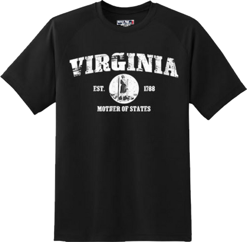 Virginia State Vintage Retro Hometown America Gift T Shirt New Graphic Tee