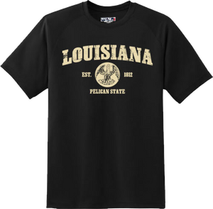 Louisiana State Vintage Retro Hometown America Gift T Shirt New Graphic Tee