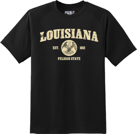 Louisiana State Vintage Retro Hometown America Gift T Shirt New Graphic Tee