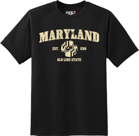 Maryland State Vintage Retro Hometown America Gift T Shirt New Graphic Tee