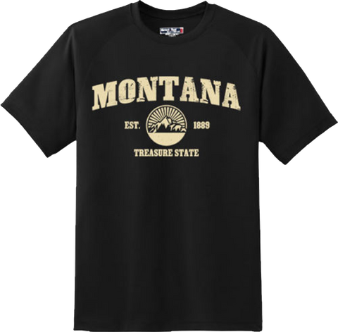 Montana State Vintage Retro Hometown America Gift T Shirt New Graphic Tee