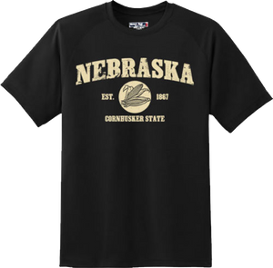 Nebraska State Vintage Retro Hometown America Gift T Shirt New Graphic Tee