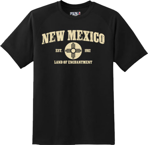 New Mexico State Vintage Retro Hometown America Gift T Shirt New Graphic Tee