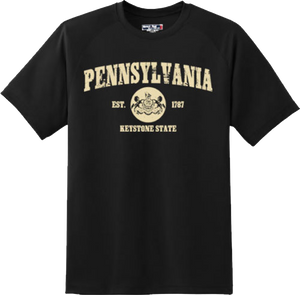 Pennsylvania State Vintage Retro Hometown America Gift T Shirt New Graphic Tee