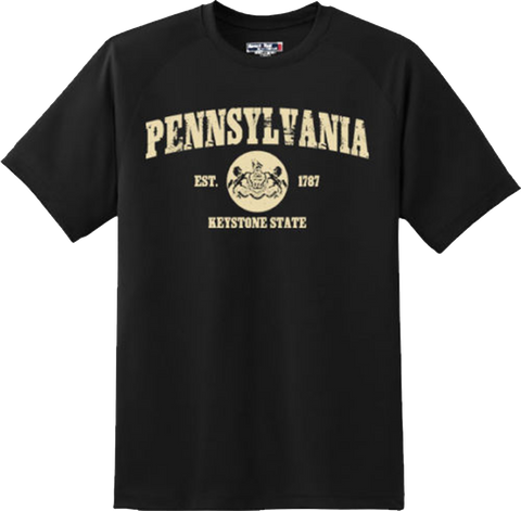 Pennsylvania State Vintage Retro Hometown America Gift T Shirt New Graphic Tee