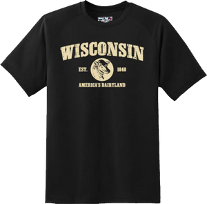 Wisconsin State Vintage Retro Hometown America Gift T Shirt New Graphic Tee