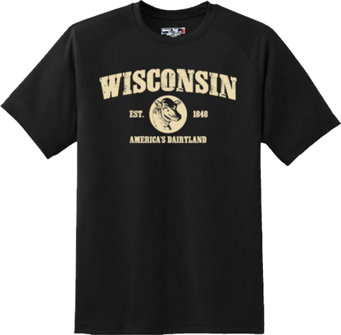 Wisconsin State Vintage Retro Hometown America Gift T Shirt New Graphic Tee